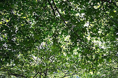 《罪恶装备：Strive》新角色“BEDMAN”6分钟实机演示