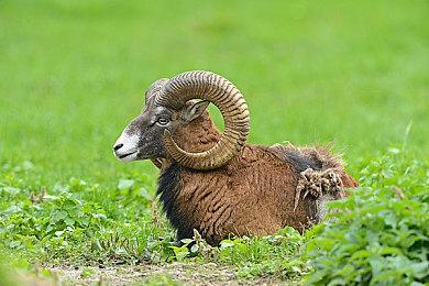 类8号出口恶搞新作《坤号出口》登陆Steam平台 已获特别好评