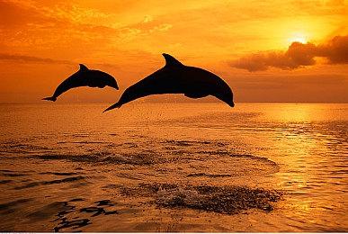 《塞尔达传说：智慧的再现》新截图 公主拯救林克