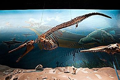 《怪物猎人崛起》曙光DLC Steam评价“多半好评” 游戏闪退严重